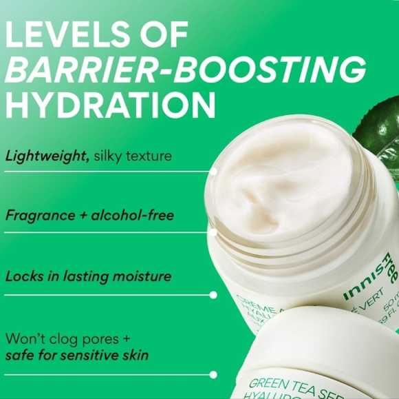 NIB INNISFREE GREEN TEA SEED  HYALURONIC CREAM - Picture 8 of 15